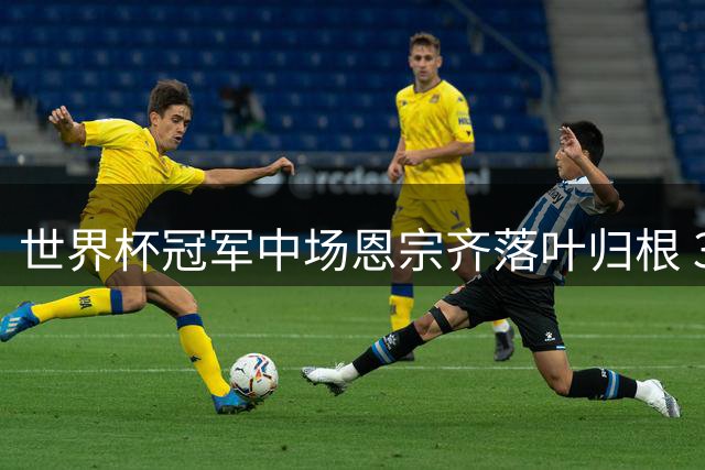 世界杯冠军中场恩宗齐落叶归根 37岁高龄签约法乙升班马