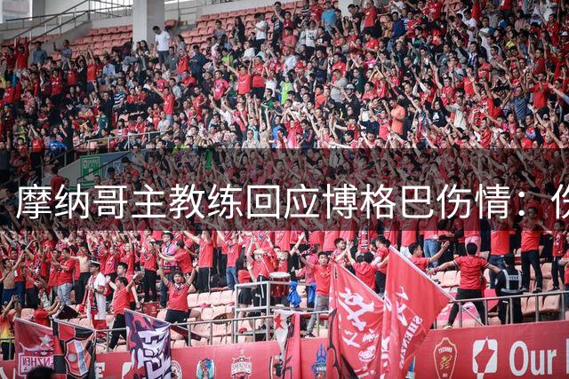 摩纳哥主教练回应博格巴伤情：伤势确实不轻
